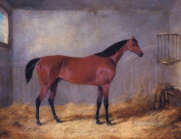 John Frederick Herring Jr Painting - The Duke Of Graftons Bolivar In A Stable John Frederick Herring Jr horse